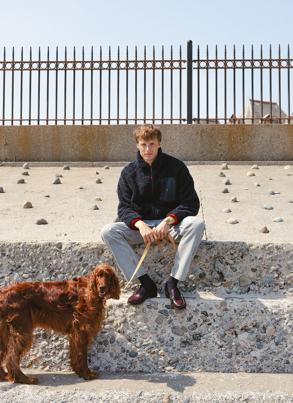 A model wearing the navy wool blend Percival fleece jacket with stone wash jeans, seated outdoors with an Irish Setter dog.