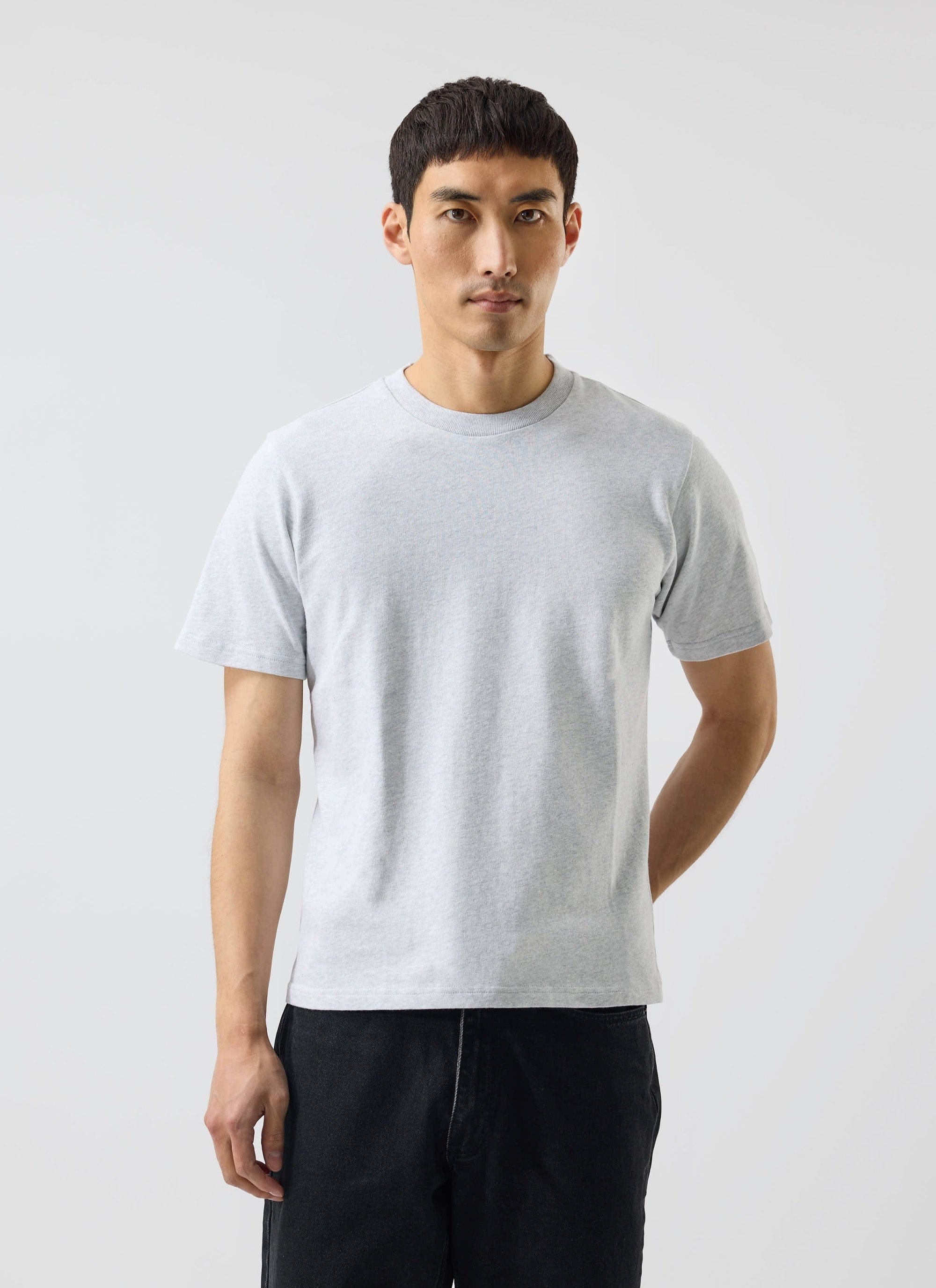 A model wears the Percival Cropped Regular Fit T Shirt in grey organic cotton against a white background.