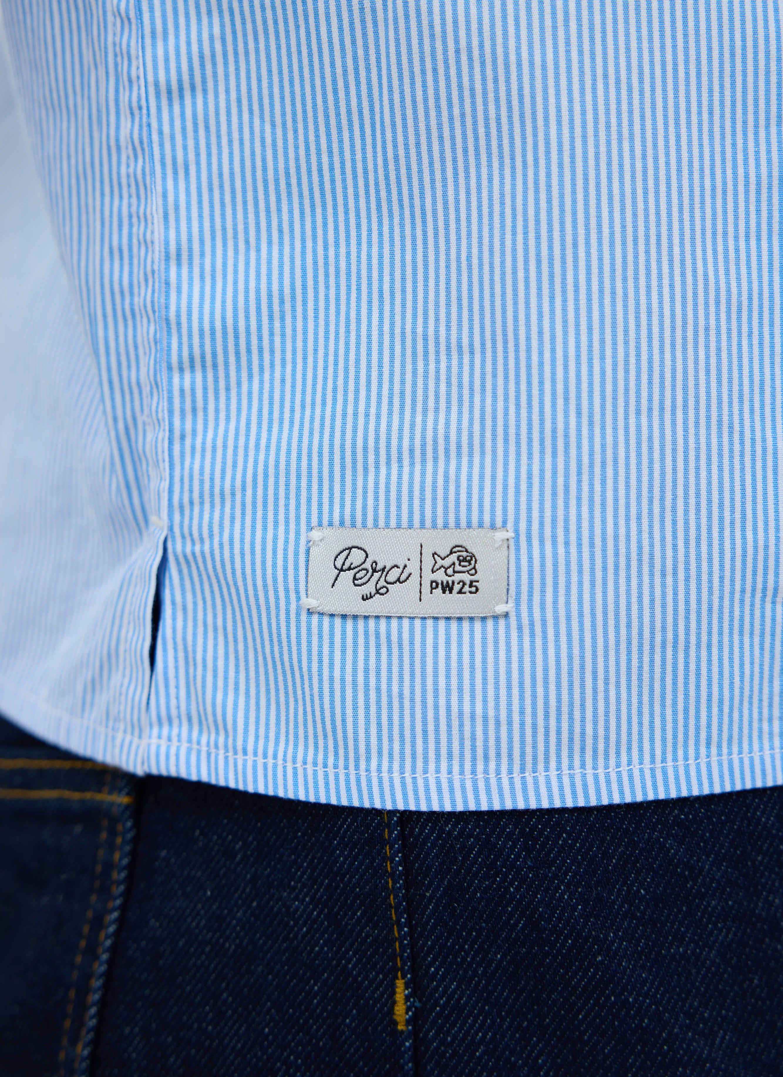 Blue Stripe