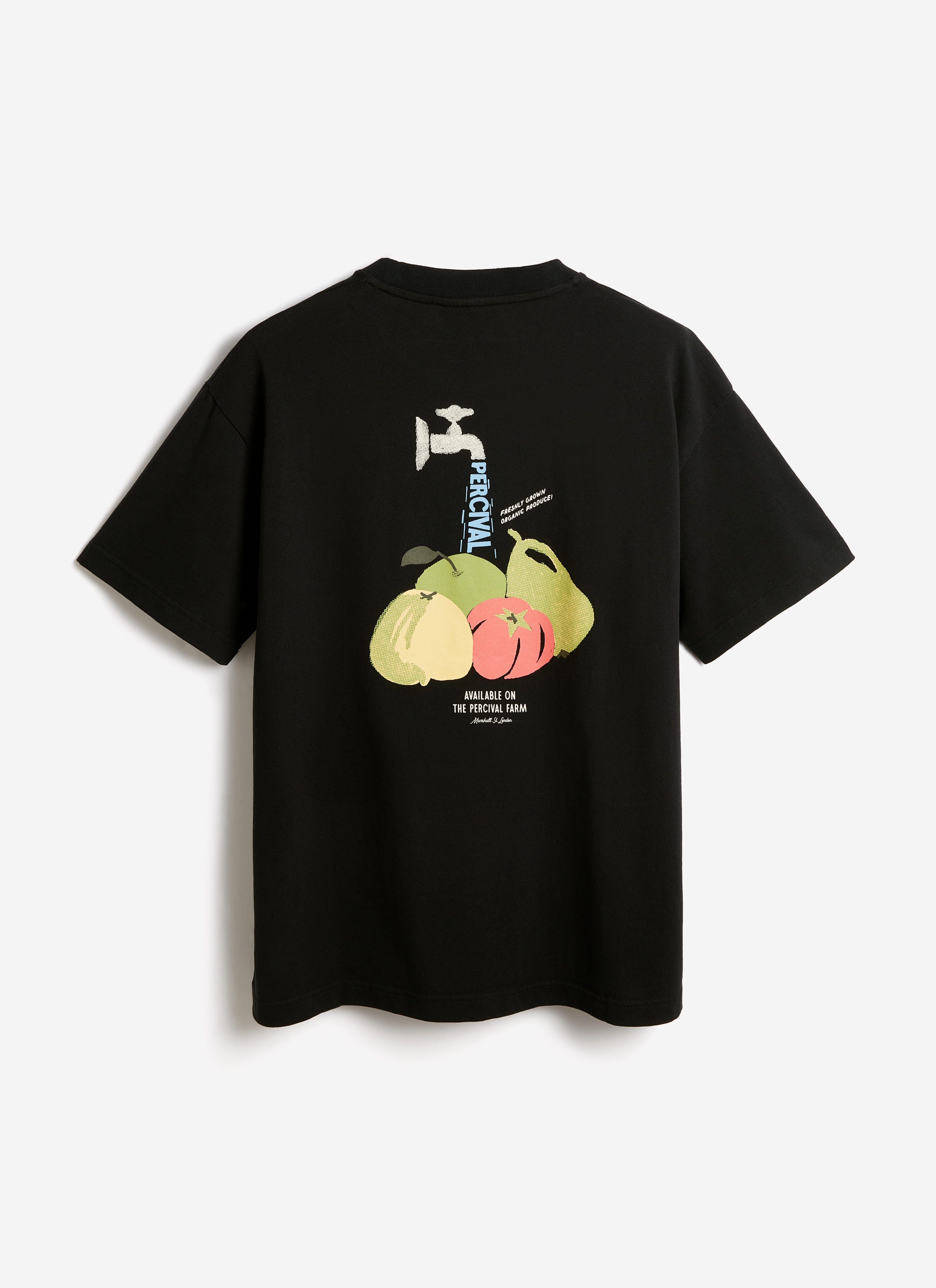 Back of the black Percival Fruit Farm oversized t-shirt in organic cotton, featuring a colorful fruit and tap graphic.