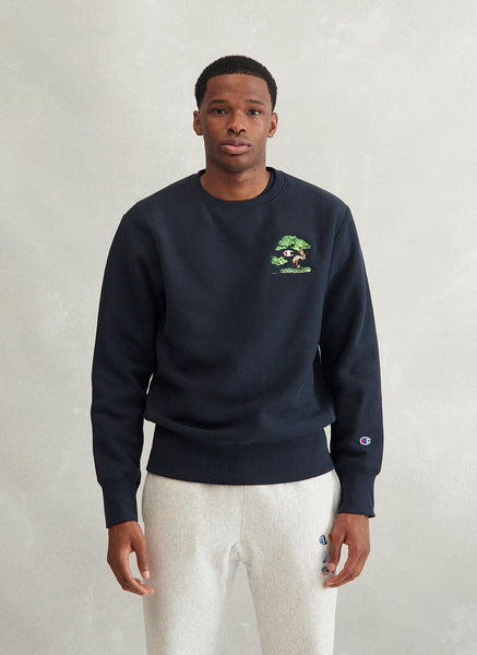 Long sleeve hotsell t shirts champion