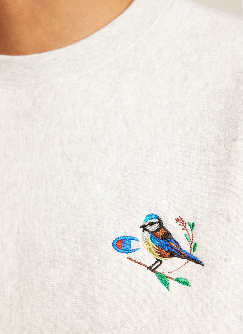 Champion sweater grey deals crew neck zara