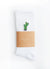 Socks | Cactus | White